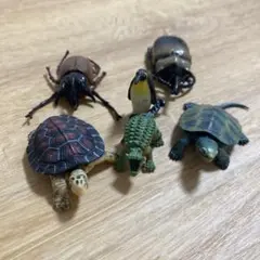 動物フィギュア 5体セット カメ カブトムシ