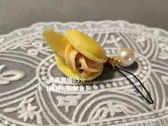 Item thumbnail for item 8831c804-5b96-47e8-9f18-ddb5d8f69860