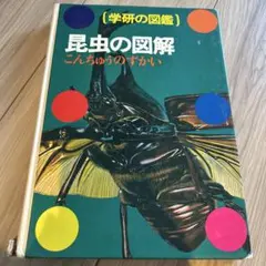 学研の図鑑 昆虫図解
