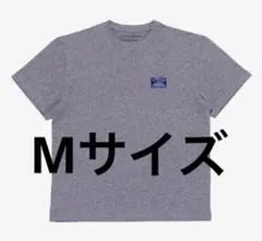 Item thumbnail for item 5f8431b9-3105-4d4d-ada6-77c347f22814