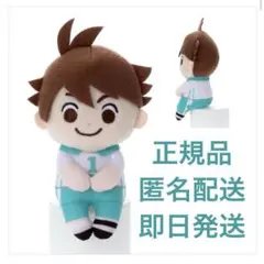 ハイキュー 及川徹 ちょっこりさん ぬいぐるみ マスコット