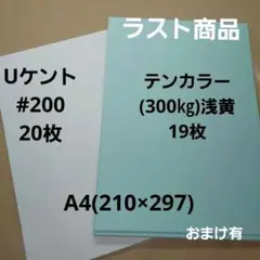 Uケント#200(180㎏).A4.20枚、テンカラー300㎏浅黄19枚A4