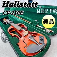 2025年最新】エレキバイオリン CV 210Eの人気アイテム - メルカリ