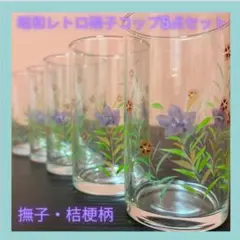 【新品未使用】昭和レトロ 桔梗 撫子 花柄 ガラスコップ グラス　4点セット