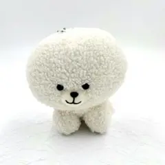 ビションフリーゼ　マスコット