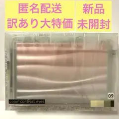 【訳あり✨大特価】テスティモ カラーコントラストアイス EX-09 オリーブ系