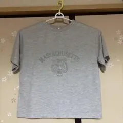 しまむら flashblue 半袖 Mサイズ グレイ