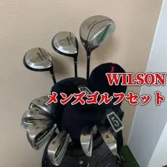 【初心者向】WILSON ウィルソン WSシリーズ ゴルフセット