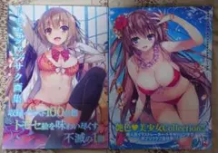トモセシュンサク画集2点