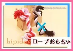 ペット ロープ おもちゃ 犬 猫 ひっぱりっこ遊び