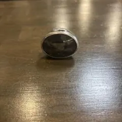 Item thumbnail for item 126d0e74-abdf-495d-87bb-3e64b9eb4df8