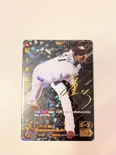 値下げ！ドリームオーダーVol2.岸サイン入り★激レア★ 2025年最新】岸孝之 sspの人気アイテム - メルカリ