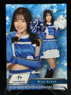 Item thumbnail for item 3d43b6e0-61d1-420c-bfb3-e5953d4d3850