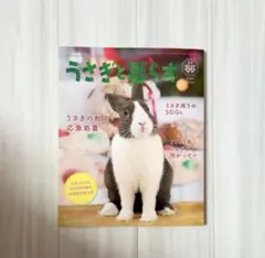 Item thumbnail for item aa2568ee-0a44-44ea-8ba5-f5c9bdda8297