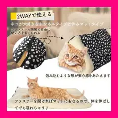猫 ベッド 犬 ペットベッドu0026トンネル 2way ジッパー式 洗える