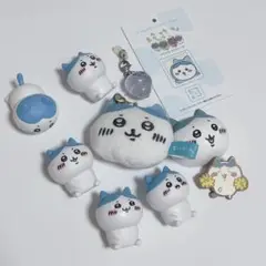 ハチワレ 10点セット