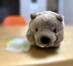 ウォンバット ずんぐりウォンピー まえばちゃん マスコット 袋付