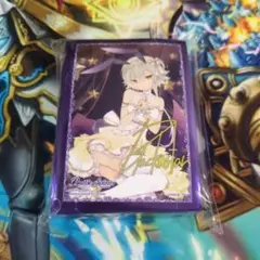 ランダムスリーブ Vol.02 10thパーティー トリックスター 未開封