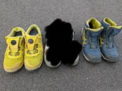 Item thumbnail for item 957ba6b1-1fac-47f3-ad8a-f18cd5d50ac8