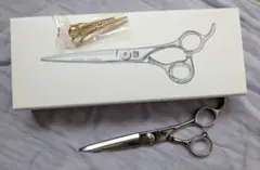 Item thumbnail for item d2cf2adb-0c2a-436f-bdd0-deb1deb93d72