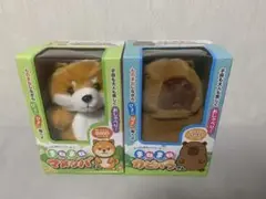 まねまね豆シバくんとカビバラさんぬいぐるみ