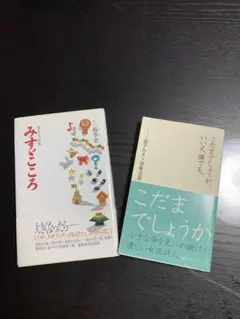 金子みすゞ詩集⭐️こだまでしょうか　2冊セット