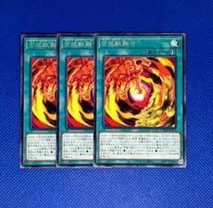遊戯王 合成獣融合 3枚 字レア／キマイラフュージョン