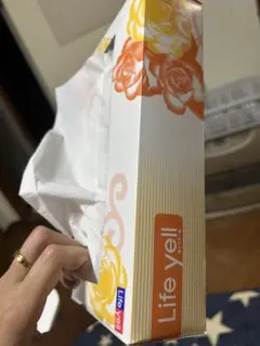 Item thumbnail for item 50aea735-b9f2-448d-be4e-6fafb05aa5b5