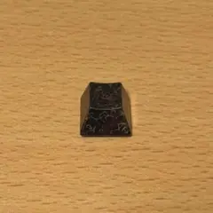 せんみんさん 漆 金虫食い Ecs (1u) 東プレ軸