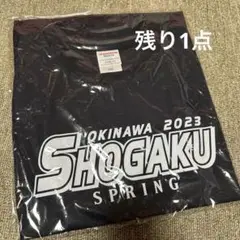 沖縄尚学 ベースボールTシャツ 野球 Tシャツ 選抜甲子園 2023