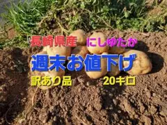 長崎県産 じゃがいもB品 にしゆたか 箱込み20キロ
