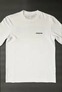 Patagonia P-6 Logo Responsibili-tee LS