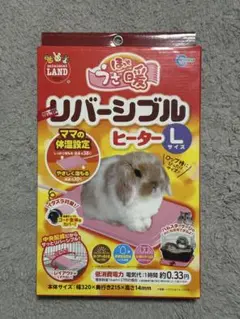 Item thumbnail for item 0cd1da36-763a-4b17-9ca2-725ae34d3de5