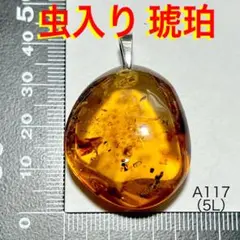 Item thumbnail for item 86df37a8-02cf-4071-907f-ba73d7914c08