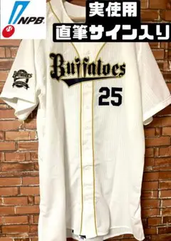 激レア 実使用 李大浩 イ・デホ ユニフォーム サイン入り オリックス 引退