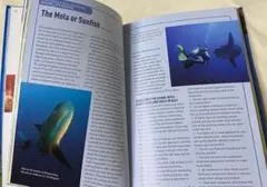 Item thumbnail for item 16bc755e-6249-4fbd-9639-8020f47cd418