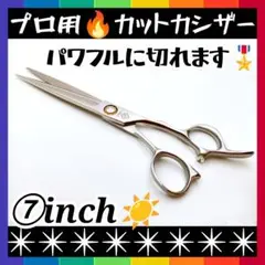 Item thumbnail for item a8b34181-ba2c-44e8-991f-4c24b65e7ead