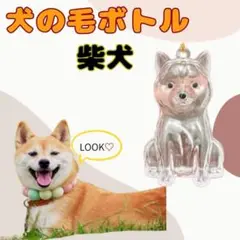 Item thumbnail for item 6f0f1d4f-1b1f-41e3-8682-d2baecfff48b
