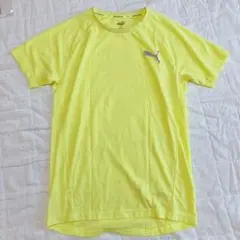 PUMA イエロー ショートスリーブ Tシャツ　ドライ速乾　m