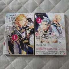 マクロスΔ 黒き翼の白騎士 全２巻セット