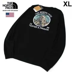 ノースフェイス【MOUNTAIN-LST】長袖 ロンTシャツ/ot4476XL