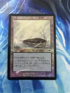 やせた原野　foil　Barren Moor 日 jp 初版 ons