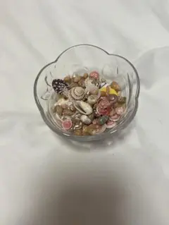 小さい貝殻 色々