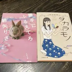 小説 まとめ売り 2冊 セット