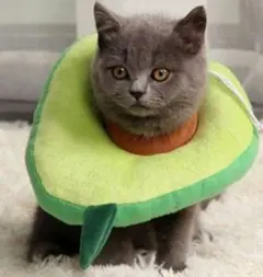 Item thumbnail for item 919f8ea8-1304-44de-b561-759bd04fecf8