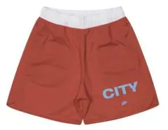 Item thumbnail for item 27da9cf6-882d-41d2-9138-984b2ceadf39