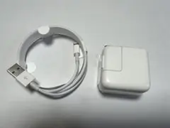 Apple 10W USB電源アダプタ Lightningケーブル