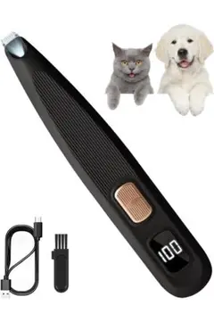 Item thumbnail for item 68dcbb52-6d62-415d-9be6-302668eb9bb9