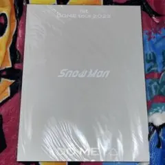 Snow Man パンフレット