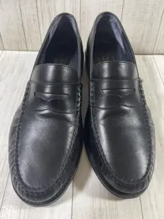 Item thumbnail for item 66e02e6f-5035-416d-9d08-34ab24422d20